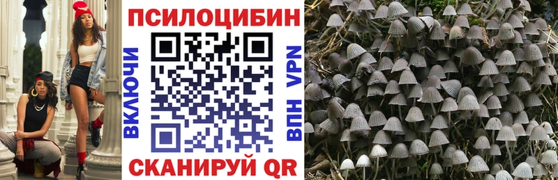 мега как зайти  Новочебоксарск  Псилоцибиновые грибы Cubensis 